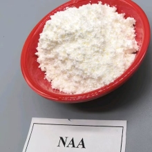 1-Naphthaleneacetic acid NAA for Southeast Asian Crops?