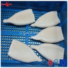 Frozen IQF high quanlity Pacific squid tube
