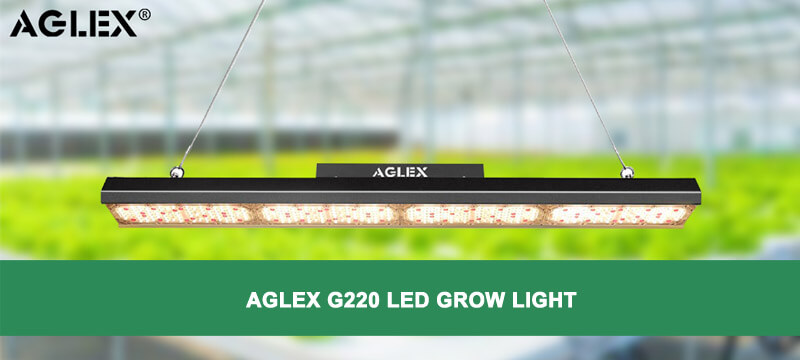 G220w LED wachsen Licht G220w led grow light