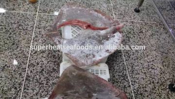 Best Quality Frozen Skate Fish Wing