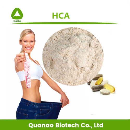 Pó de ácido hidroxicítrico HCA de extrato de Garcinia Cambogia