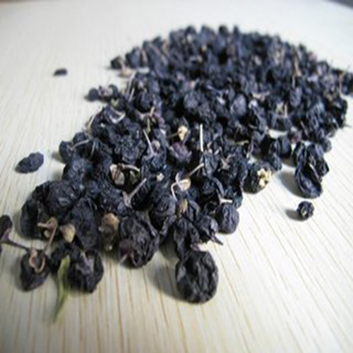 schwarzes Wolfsbeerenlycium black wolfberry lycium