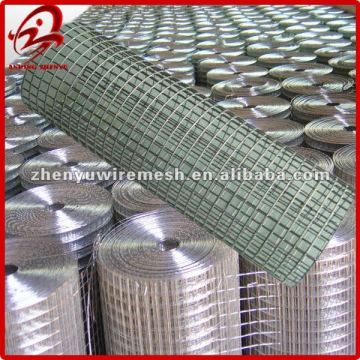 Electro Galvanized Welded Wire netting