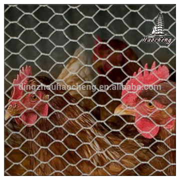 China chicken wire mesh roll lowest price