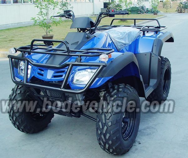 300cc atv (2)