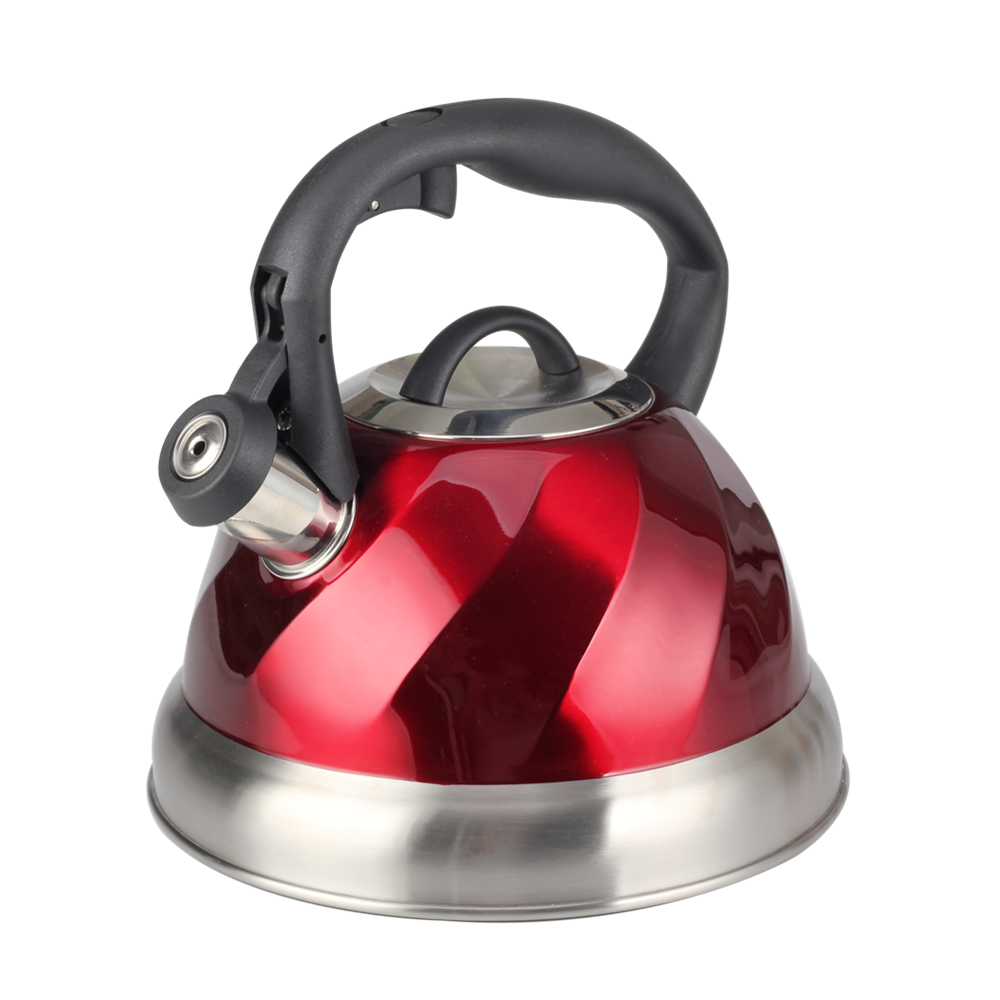 Bouilloire à thé en acier inoxydable Stainless Steel Tea Kettle