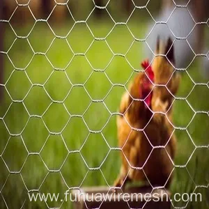 Home Garden Chicken Hexagonal Wire Mesh Netting Fence