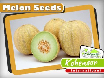 MELON