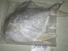 Clean White Pomfret Fish