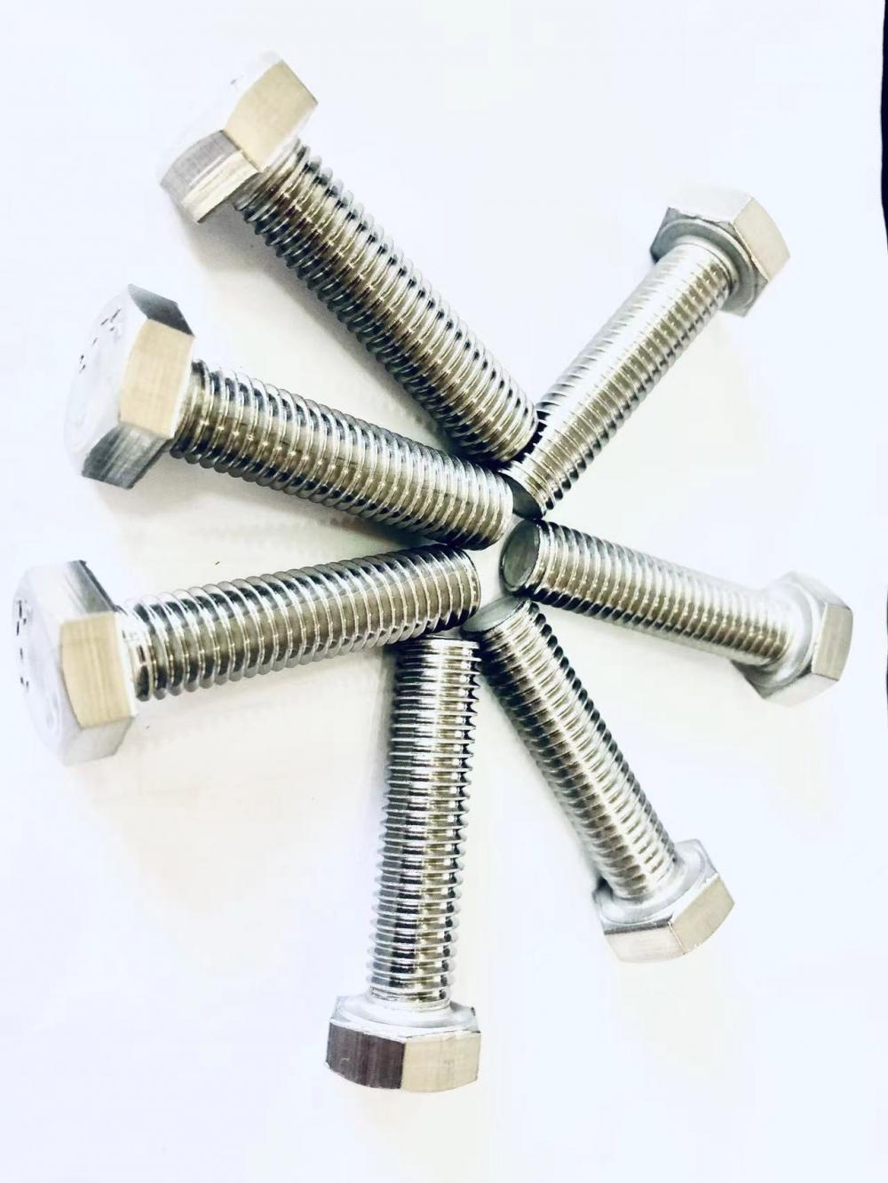 SS304 M8 Hex Head Bolt