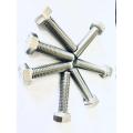 Metric SS304 Hex Head Bolt