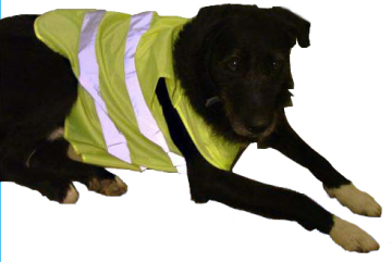 Dog security vest reflective safety vest