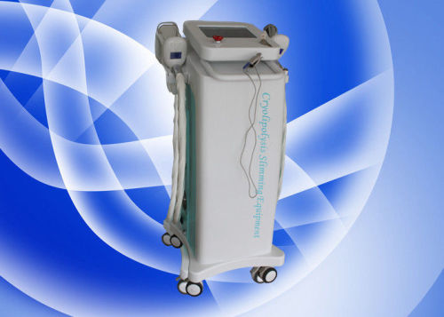 Freeze Cryolipolysis Slimming Machine With Touch Color Screen For Spa