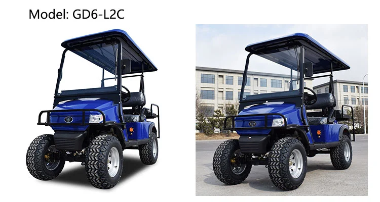 Elegant Design 11 Passengers Electric Sightseeing Car for Wholesale