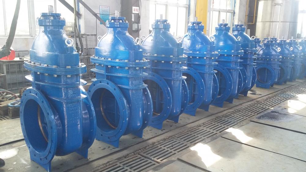 Bs5163 Gate Valve