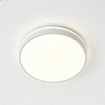 Bright home LED ceiling lamp