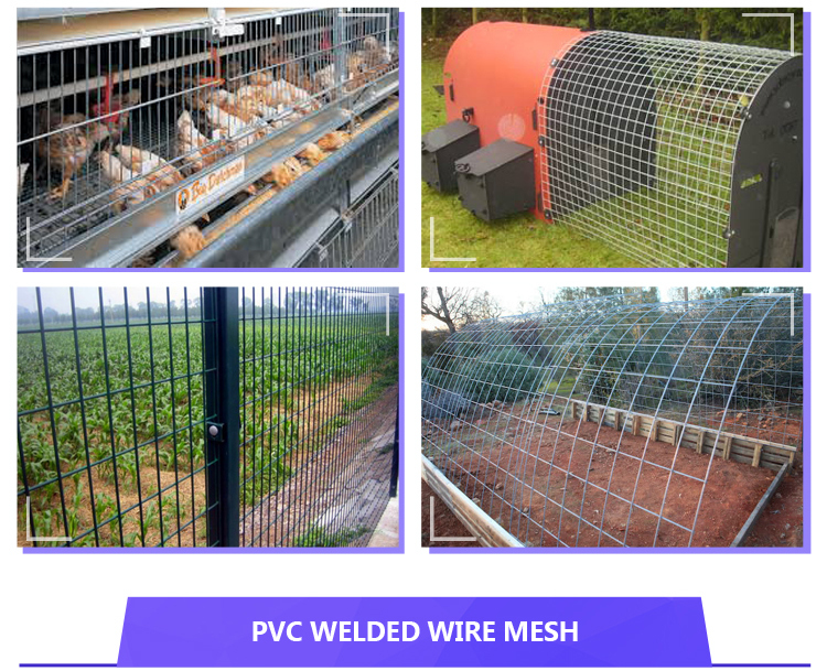 Cheap And High Quality PVC Welded Wire Mesh Panel For Crab Traps