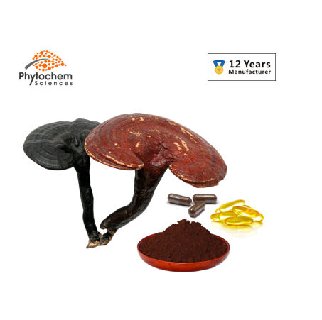 Free sample 10%-50% polysaccharides Ganoderma lucidum reishi mushroom extract powder