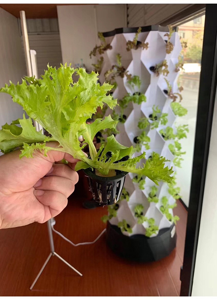 Strawberry Aeroponic Systems Vertical growing tower