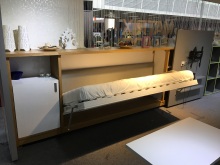 Functional wall fold out bed