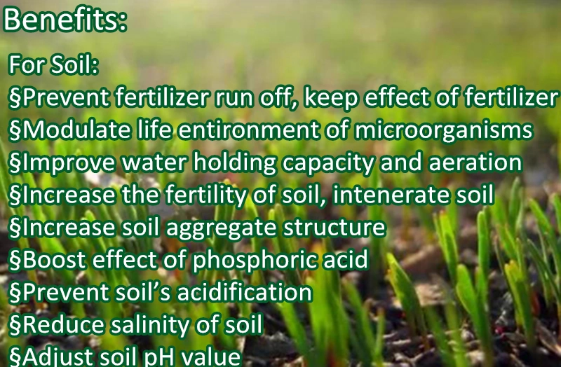 Organic Fertilzier 70% Humic Acid From Leonardite