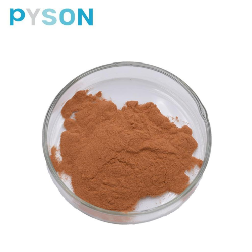 Green tea extract powder 98% tea polyphenols