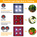 As melhores lâmpadas LED para plantas no atacado 2000W Full Spectrum