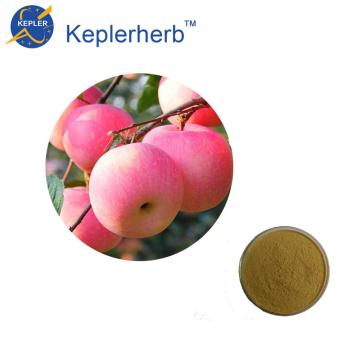 Factory sale Apple Juice Powder