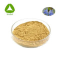 Extracto de semilla negra tymoquinona 5% en polvo CAS 490-91-5