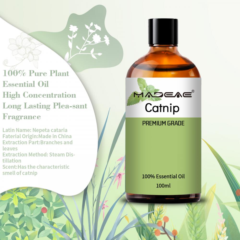 Pure Natural Aromatherapy Catnip Essential Oil For Diffuser