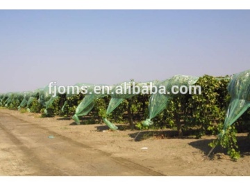 Green coloured plastic row covers