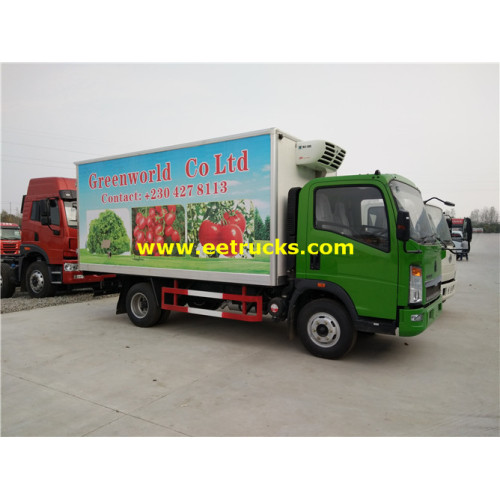 4m HOWO Refrigerated Insulated Box Trucks