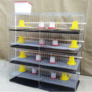 Automatic Water Supply Baby Chicken Coop for Poultry Farming