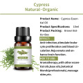 Bulk natural cypress essential oil