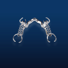 Detachable Denture Metal Partial Bridge