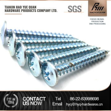 m10 din 7982 self tapping screw for world