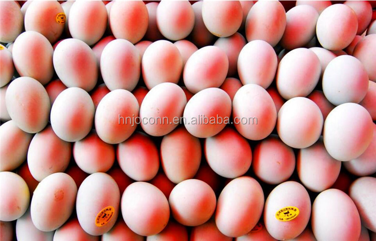 Small Scale Egg Grading coding machine /Egg Sorter printer / egg weight selector machine for egg grading