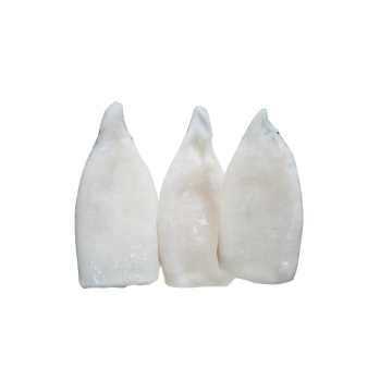 Processed squid Todarodes Illex Squid Tube