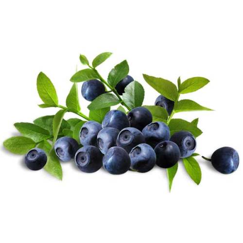 Natural Bilberry Extract (Anthocyanidins)
