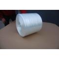 Fibra di vetro 22μm 2400 tex Stoving diretto