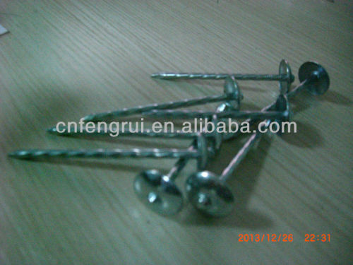 hardware fasteners of roofing nails