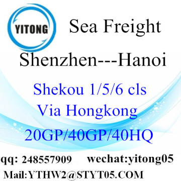 Shenzhen FCL LCL Seefracht nach Hanoi