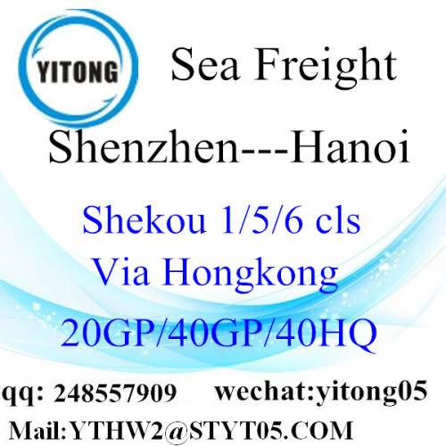 Shenzhen FCL LCL Seefracht nach Hanoi