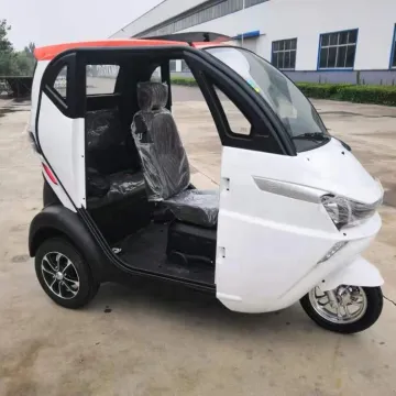 EEC L2e Safe 3 Wheel Electric Trike for The Old Man