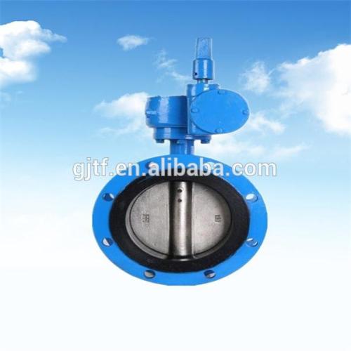 DN300 Flange Butterfly Valve