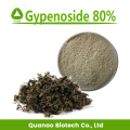 Gynostemma pentaphyllum hoja extracto gypenoside 98% polvo