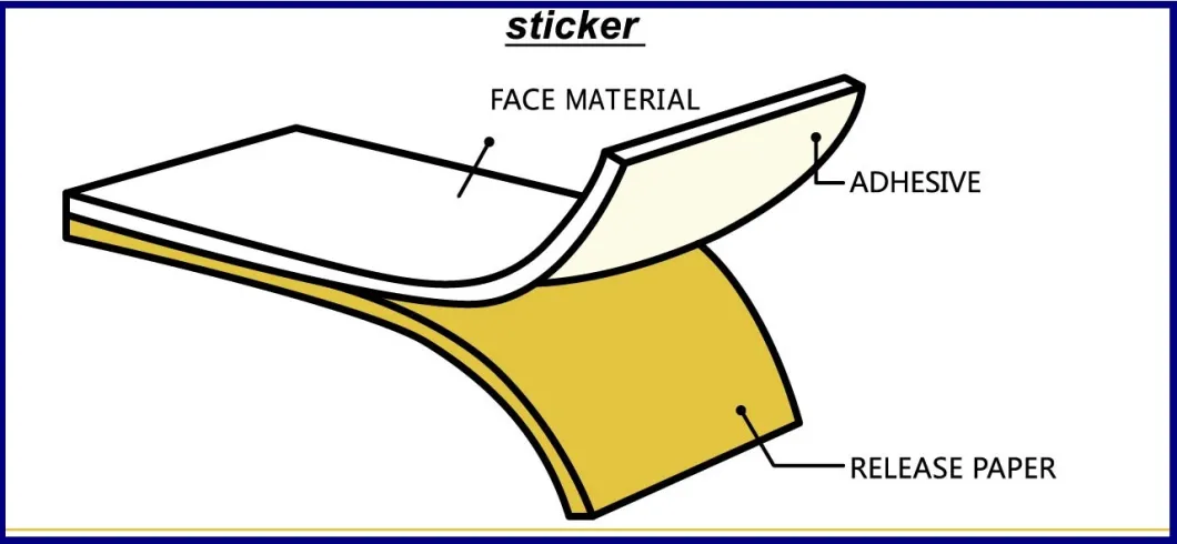 High Quality Clear Self Adhesive PVC Pet Static Vinyl Film