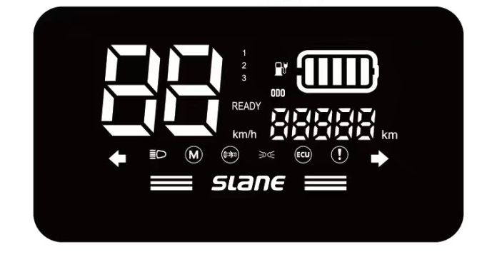 Customized LCD -integriertes Display mit Rücklicht