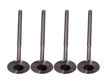 036109601AD Intake Valve for Engine