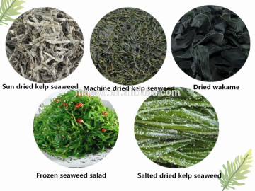 2015 Sun dried kelp cut dried wakame seaweed